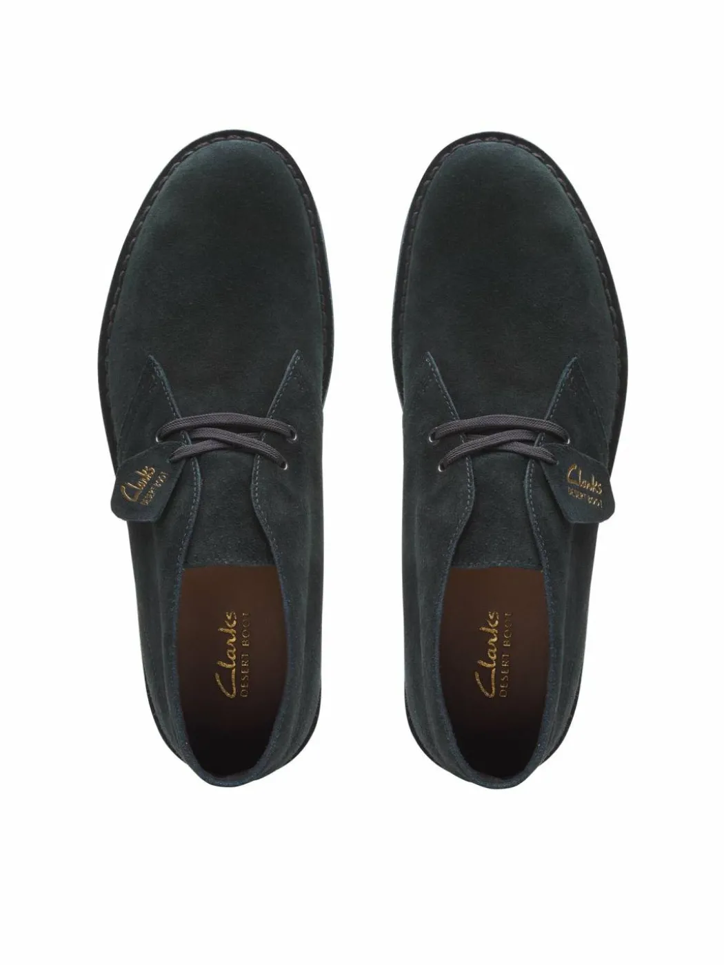 Polacchine Desert Bt Evo Nero