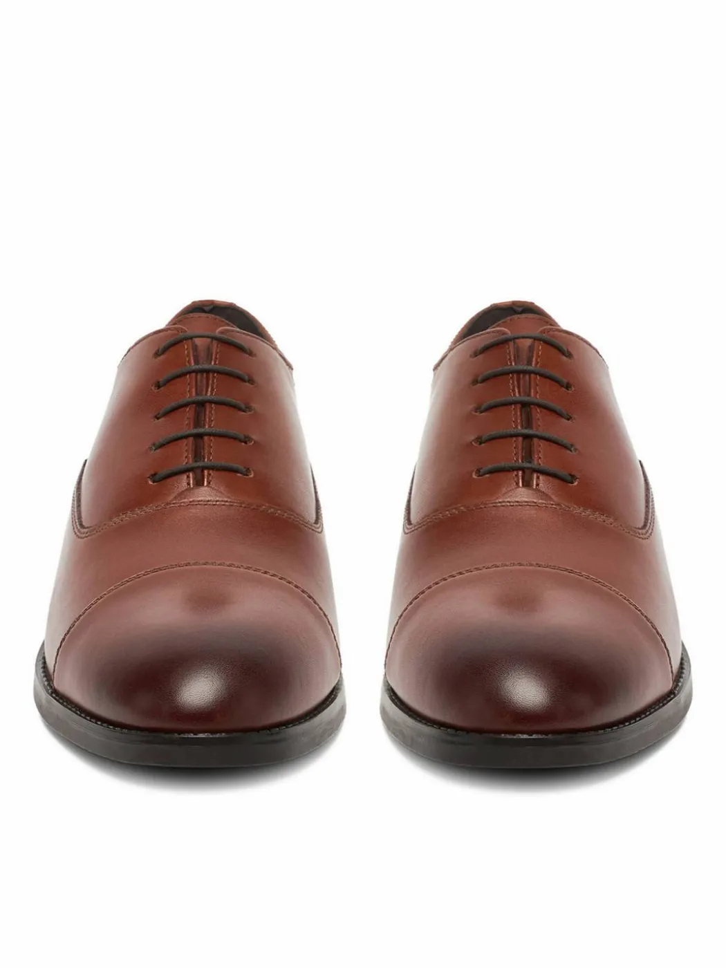 Scarpe basse CEO-ROYAL2-01 MI08 Marrone
