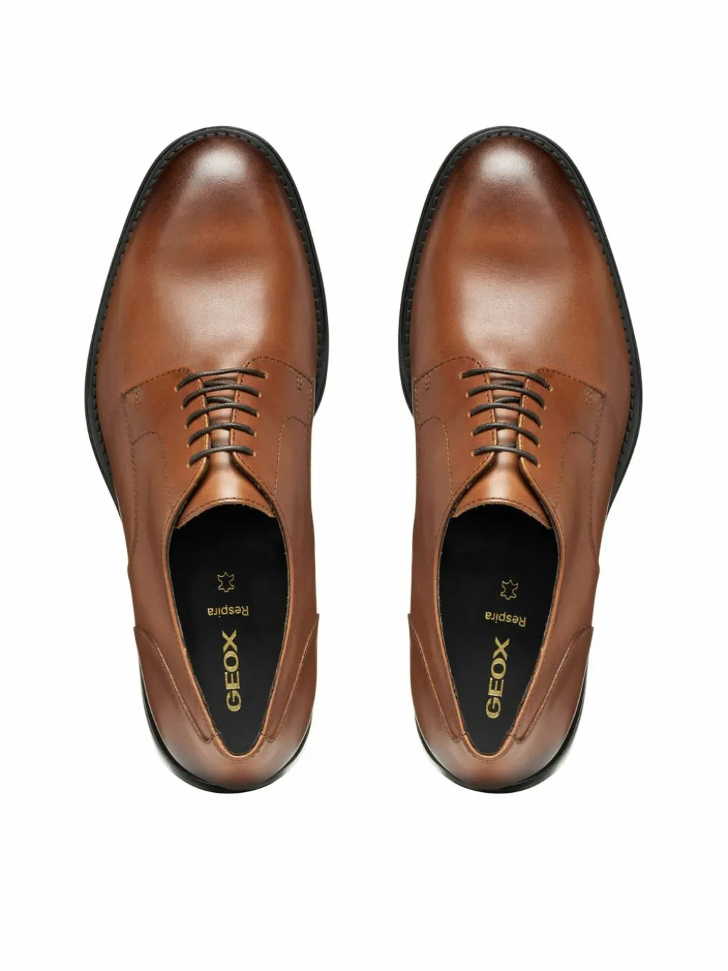 Scarpe basse U Barberigo U56MBC 00043 C6610 Marrone