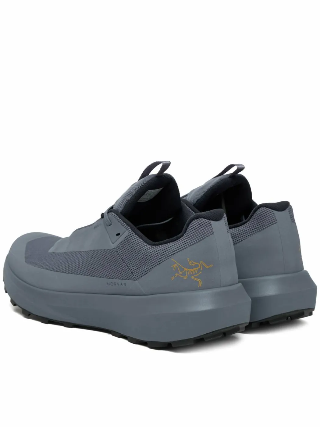 Scarpe da trekking Norvan Ld 4 Gtx X000010397 Grigio