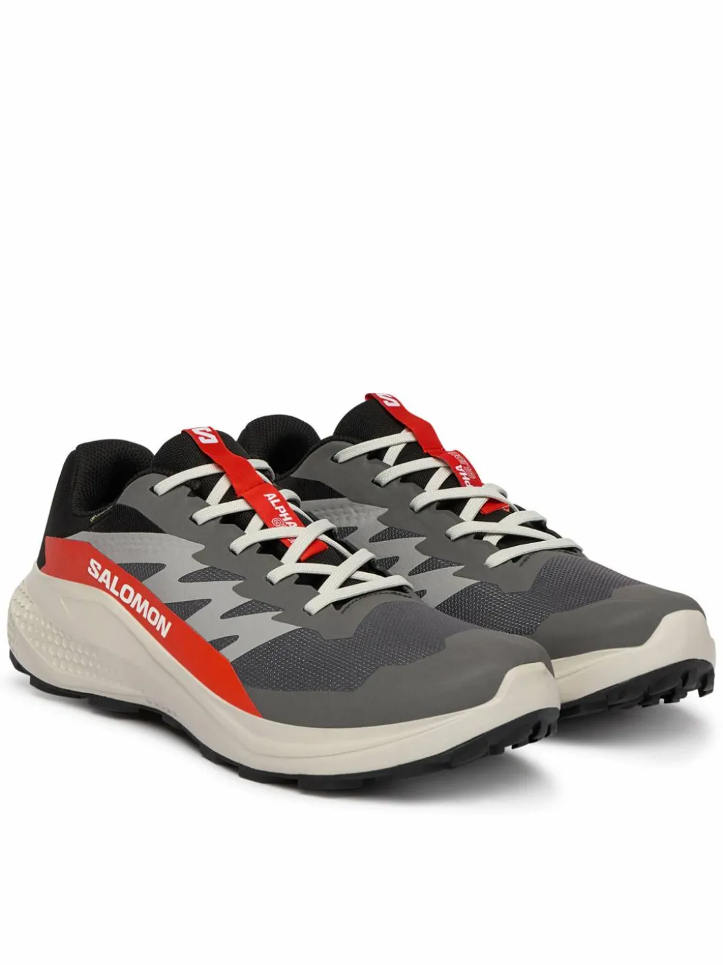 Scarpe running Alphaglide Gore-Tex L47975300 Grigio