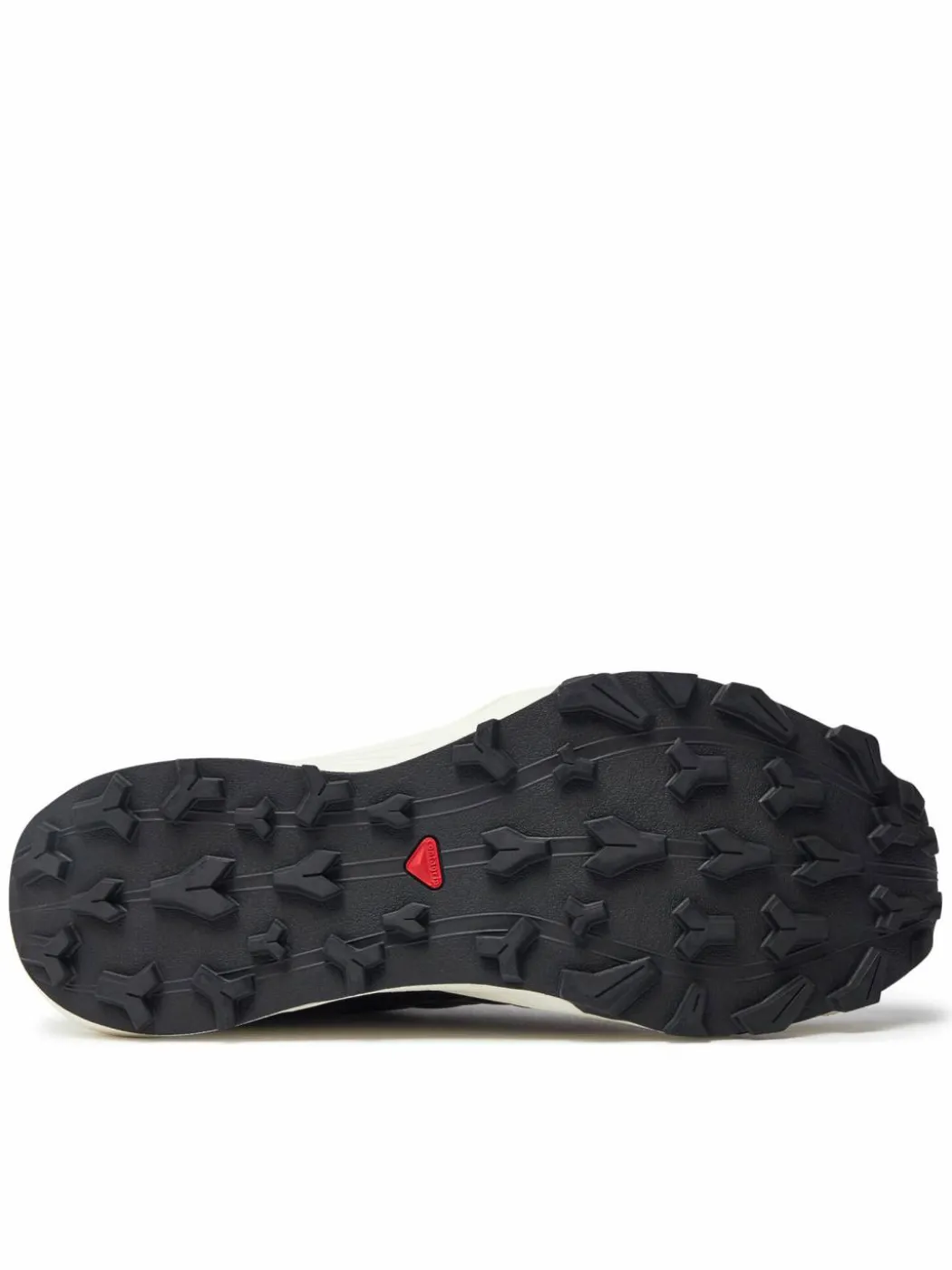 Scarpe running Thundercross Gore-Tex L47684500 Grigio