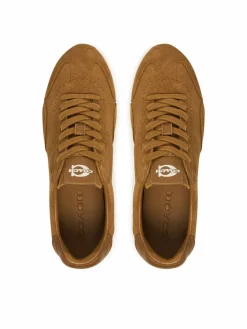 Sneakers CCN30 Marrone
